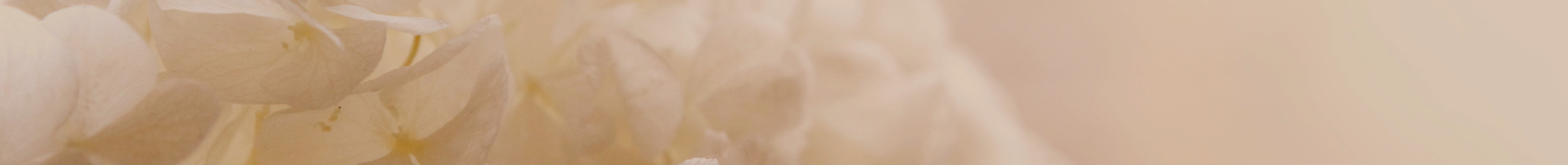 inbanner.jpg